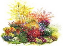 цветы осенью - красота вашего сада