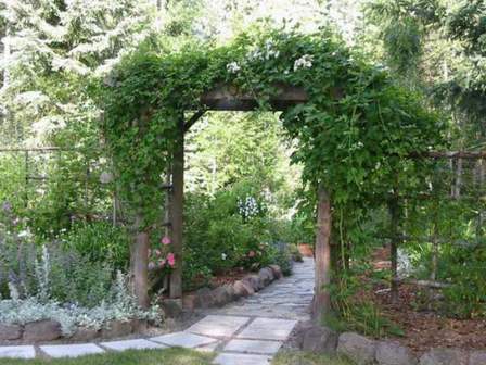 оригинальная деревянная арка для растений, расположенная на даче