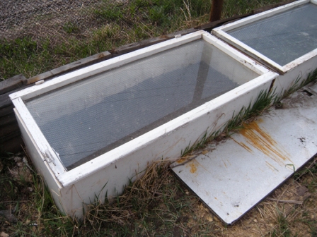 парник для выращивания рассады из подручных средств (старые холодильники и окна)