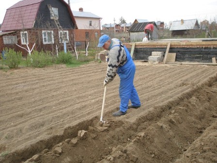 правильная техника копания почвы в огороде
