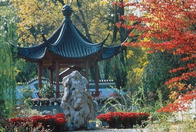 сад в китайском стиле