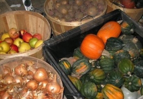 Где хранить овощи и фрукты на даче