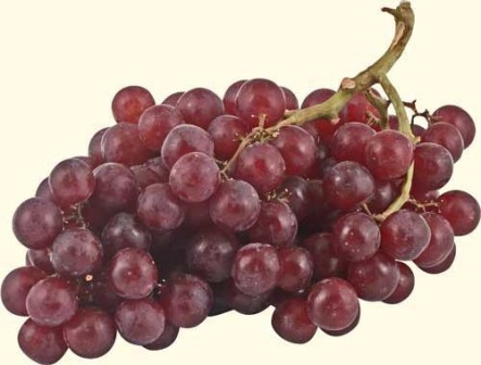 виноград ред глоб