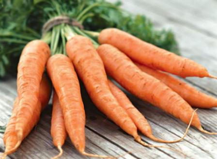 выращивание моркови на собственном огороде: посадка и уход