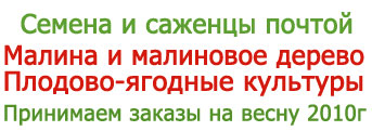 �������� ������ � ������� ������