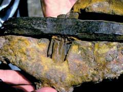 Самые древние ископаемые обнаружены были на Земле