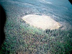 Озеро Чеко является кратером от взрыва Тунгусского метеорита?