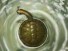 В Колумбии обнаружены ископаемые черепахи с необычным панцирем