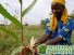 Совмещенная посадка сельскохозяйственных культур дает 50% прирост урожая
