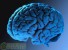Ученые узнали, как мозг сохраняет внутренний баланс