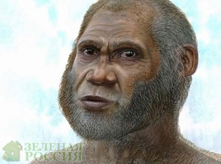 Ученые обнаружили новый вид древнего человека