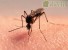 Аллергия на укусы насекомых у ребенка