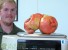 В США вырастили самый большой помидор в мире