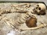 Антивампирское захоронение было обнаружено археологами в центре Азова