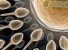 Ученые открыли ген, ответственный за созревание сперматозоидов