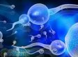 Сперма оказывает влияние на мужское здоровье Сперма оказывает влияние на мужское здоровье