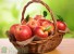 Ученые развенчали миф пользы употребления яблок