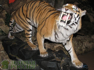 Мамонты и саблезубые тигры погибли от рук человека