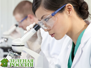Следы экстази остаются в волосах на несколько месяцев после приема Следы экстази остаются в волосах на несколько месяцев после приема
