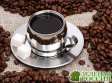 Чрезмерная любовь к кофе вызывает проблемы с мочевым пузырем Чрезмерная любовь к кофе вызывает проблемы с мочевым пузырем