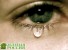 Ученые выяснили, что происходит с организмом во время плача