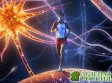 Ученые узнали о пользе бега для мозга