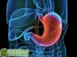 Учёные смогли вырастить человеческий желудок отдельно от тела