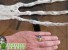 Ученые обнаружили руку загадочного существа с тремя длинными пальцами