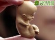 В Китае женщина родила ребенка из замороженного 16 лет назад эмбриона