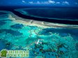 Ученые: Большой Барьерный риф начинает стремительно терять цвет