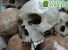 Под собором в Мехико нашли сложенную из черепов ацтекскую башню