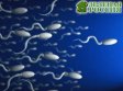 Ученые создали гормональный гель для мужской контрацепции‍