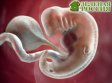 Будет ли устранен 14-дневный лимит на исследование эмбрионов человека?