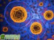 Синтетические микрокапсулы способны выполнять функции живых клеток