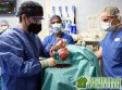 Человеку впервые имплантировано сердце свиньи