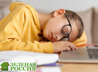 Ученые выяснили: качество сна играет важную роль в психическом здоровье
