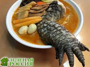 Godzilla Ramen блюдо ресторана на Тайване с мясом крокодила покорило социальные сети.