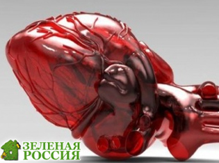 Алгоритм ускорил проектирование сосудистой системы для 3D-печати сердца Алгоритм ускорил проектирование сосудистой системы для 3D-печати сердца
