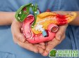 Учёные нашли «ахиллесову пяту» рака поджелудочной железы: открытие может улучшить лечение агрессивных опухолей Учёные нашли «ахиллесову пяту» рака поджелудочной железы: открытие может улучшить лечение агрессивных опухолей