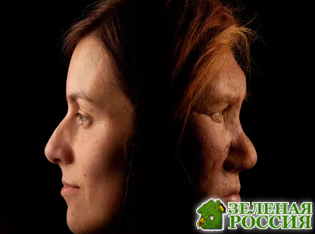 Гибриды человека и неандертальца могли вымирать из-за несовместимости крови — новое исследование Гибриды человека и неандертальца могли вымирать из-за несовместимости крови — новое исследование