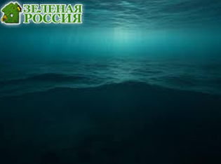 Скрытый климатический сдвиг мог запустить великие океанские миграции в Тихом океане тысячу лет назад Скрытый климатический сдвиг мог запустить великие океанские миграции в Тихом океане тысячу лет назад