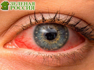 ������� ������� ���� ����� �������� ��� � ������ ��������� ��� ��������