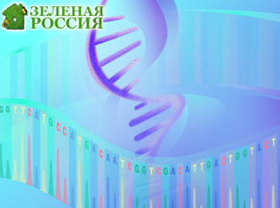 Алгоритмы глубокого обучения повышают точность выявления мутаций в онкологии и РНК-секвенировании Алгоритмы глубокого обучения повышают точность выявления мутаций в онкологии и РНК-секвенировании