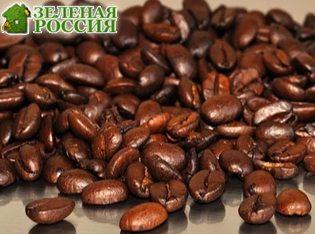 ������ ��� ���������� ������ �������: ������ ��������� ��������� ����������� ����� � ������� ����