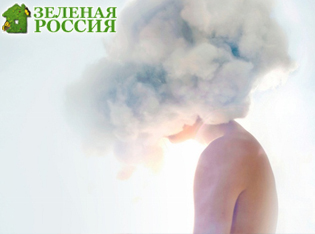 ������ ���������� ���� �������� �� ������ � ������ ����� COVID-19