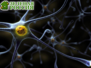 ������ ��������� ���������� �������, ������������� ��� ��� � ������� ������������