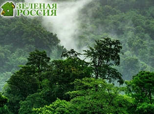 ���� ������������ ��������, � ������ ���� �������