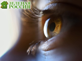 ������ �� ����� �� �������� ��� ������ �����: ����� ������������ �������� ��� ������ ��������