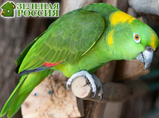 ������ ���������� ��������� � ������������� ����� ��������