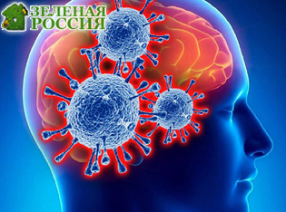 ������������ ����������� COVID-19 ��� ����� ���������� �� ������ � ����� ������������